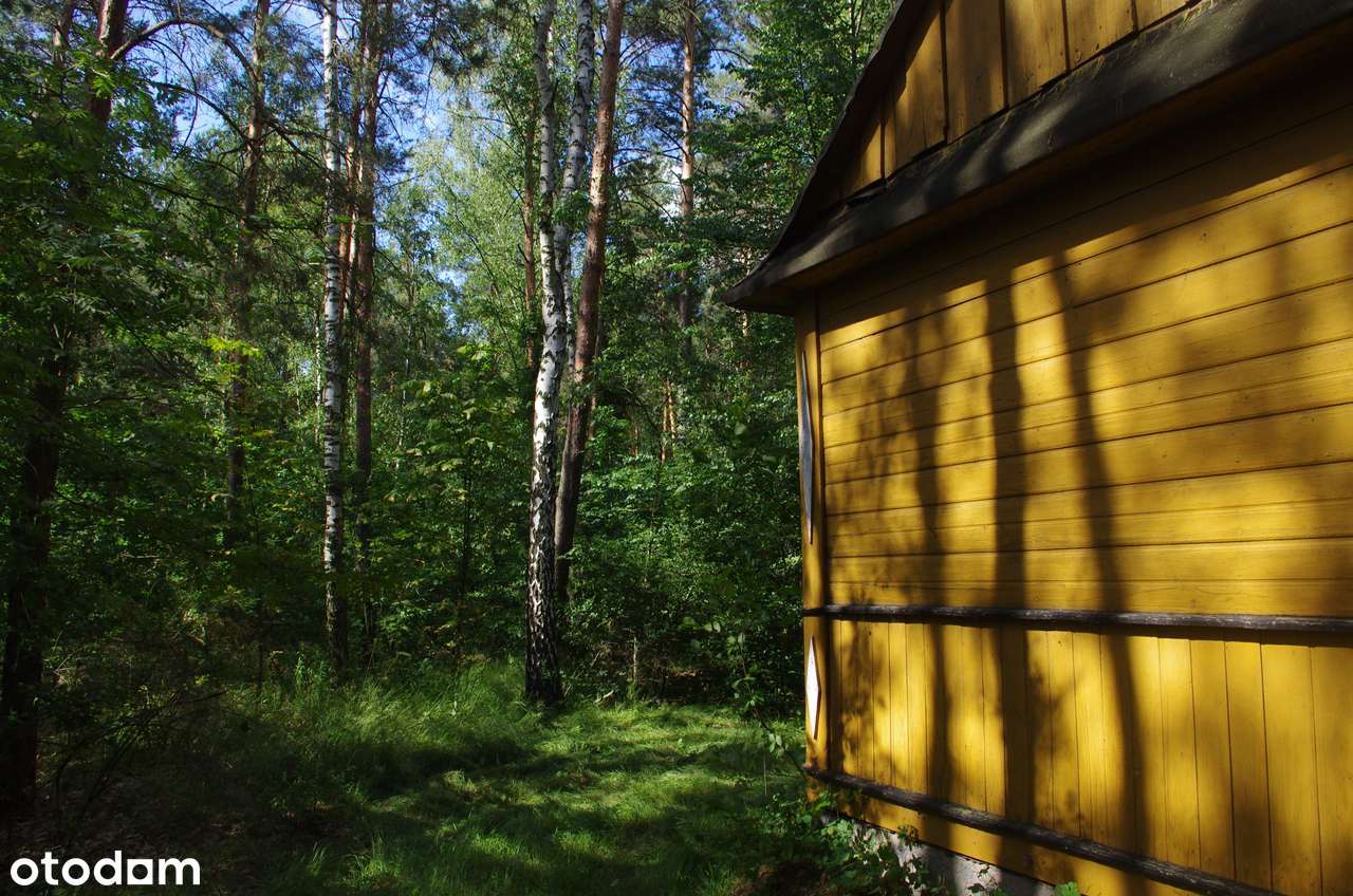 Sprzedam działkę leśną z domem drewnianym - Pełny obrazek: 5/7