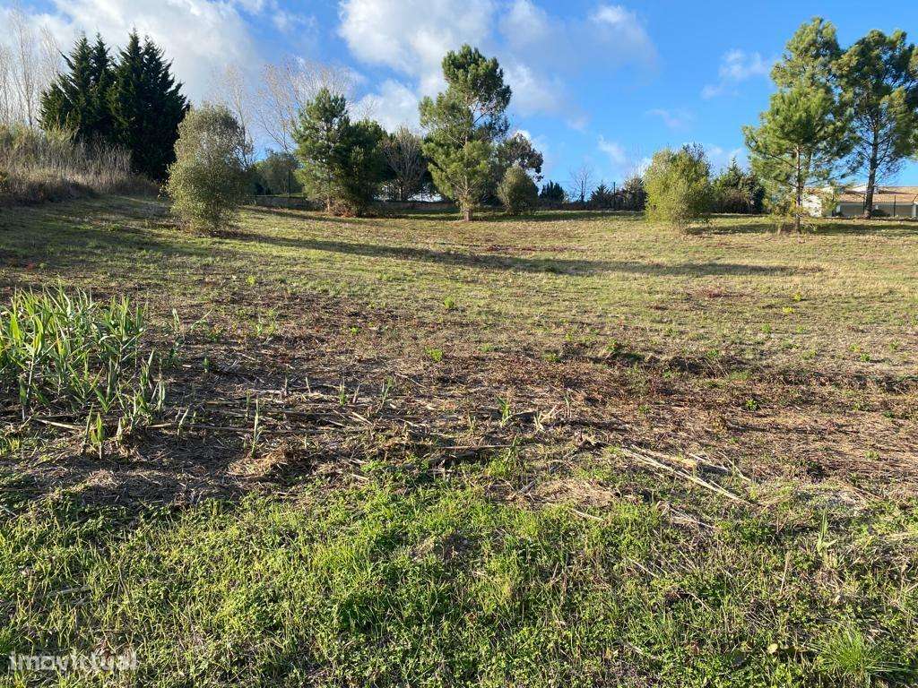 Terreno com 12.500 m2 com capacidade construtiva-4