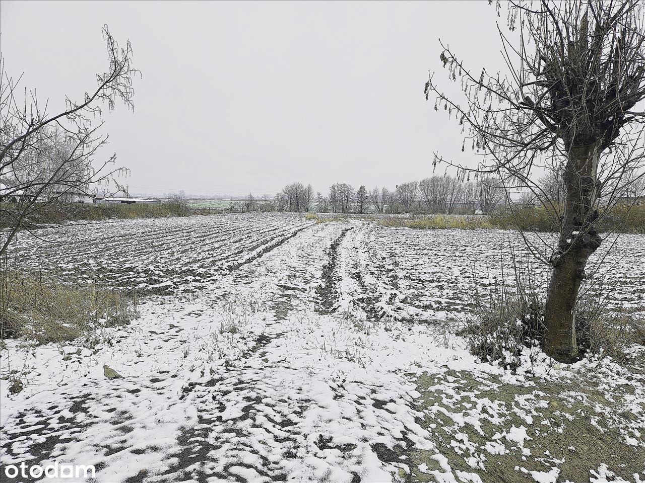 Super działka na granicy z miastem Błaszki.