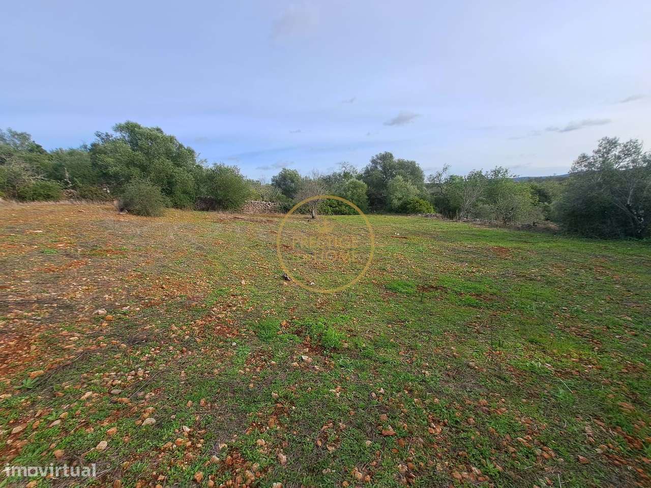 TERRENO COM PROJETO ARQUITETURA APROVADO PARA MORADIA T3 - CORCITOS-7