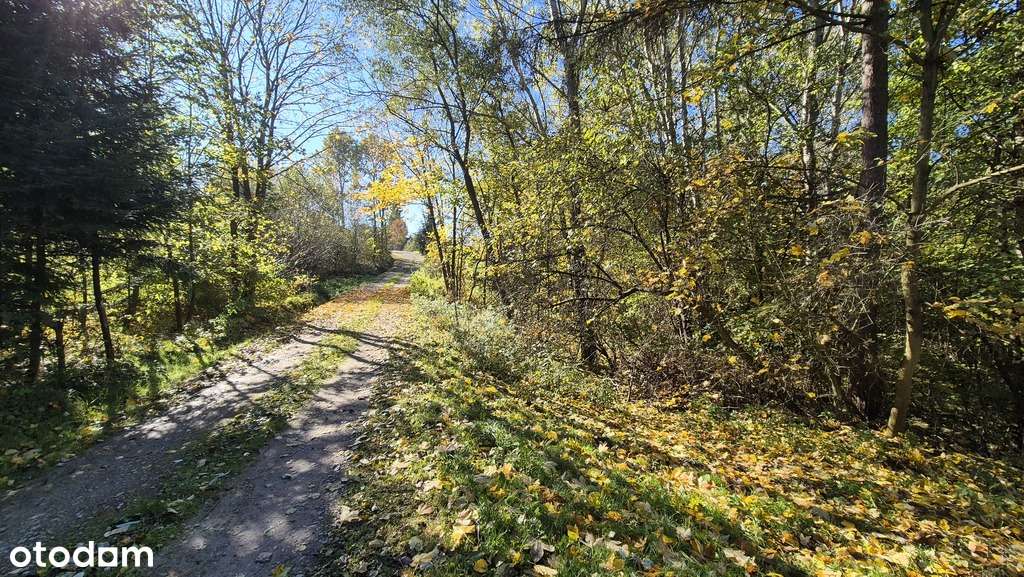 Gospodarstwo z domem 4ha ziemi-3