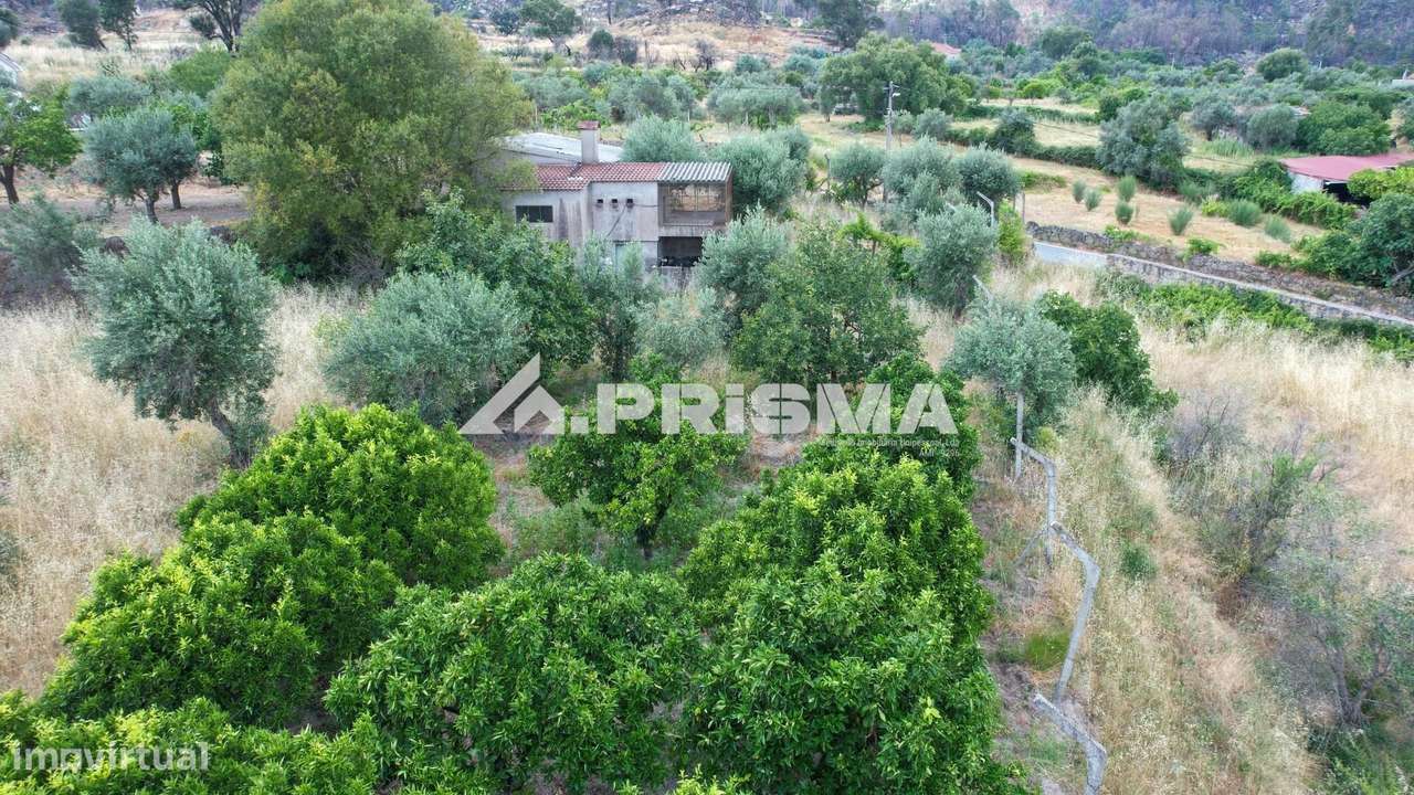 Quintinha para venda em Louriçal do Campo, Castelo Branco-5