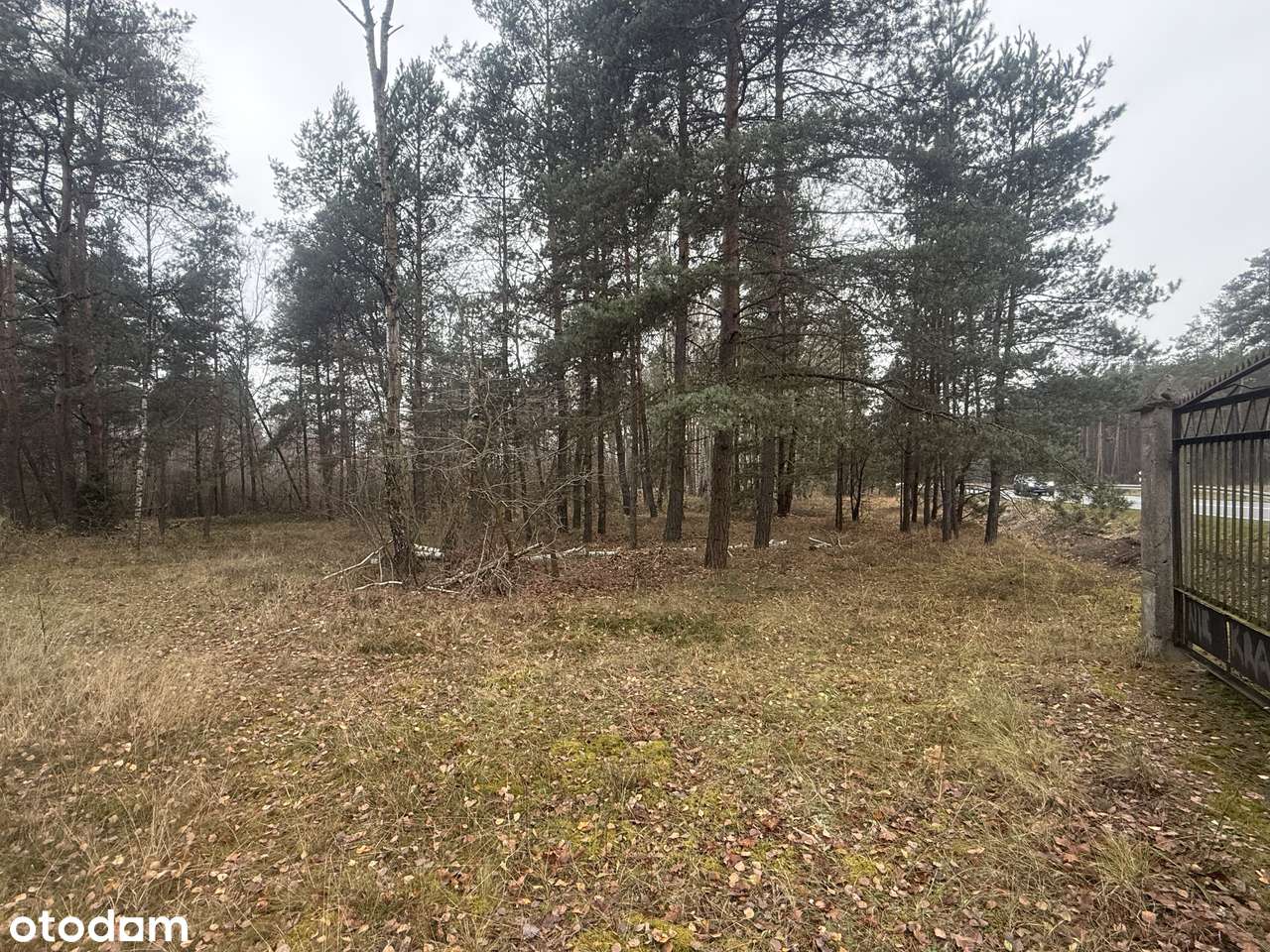 Działa 3,3779 ha Michałów-Halinów pod budowę osiedla rodzinnego - Pełny obrazek: 4/6