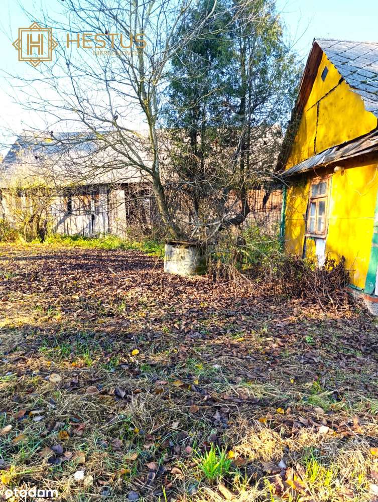 Tanie siedlisko na sprzedaż! Majdan Kobylański - Pełny obrazek: 5/13