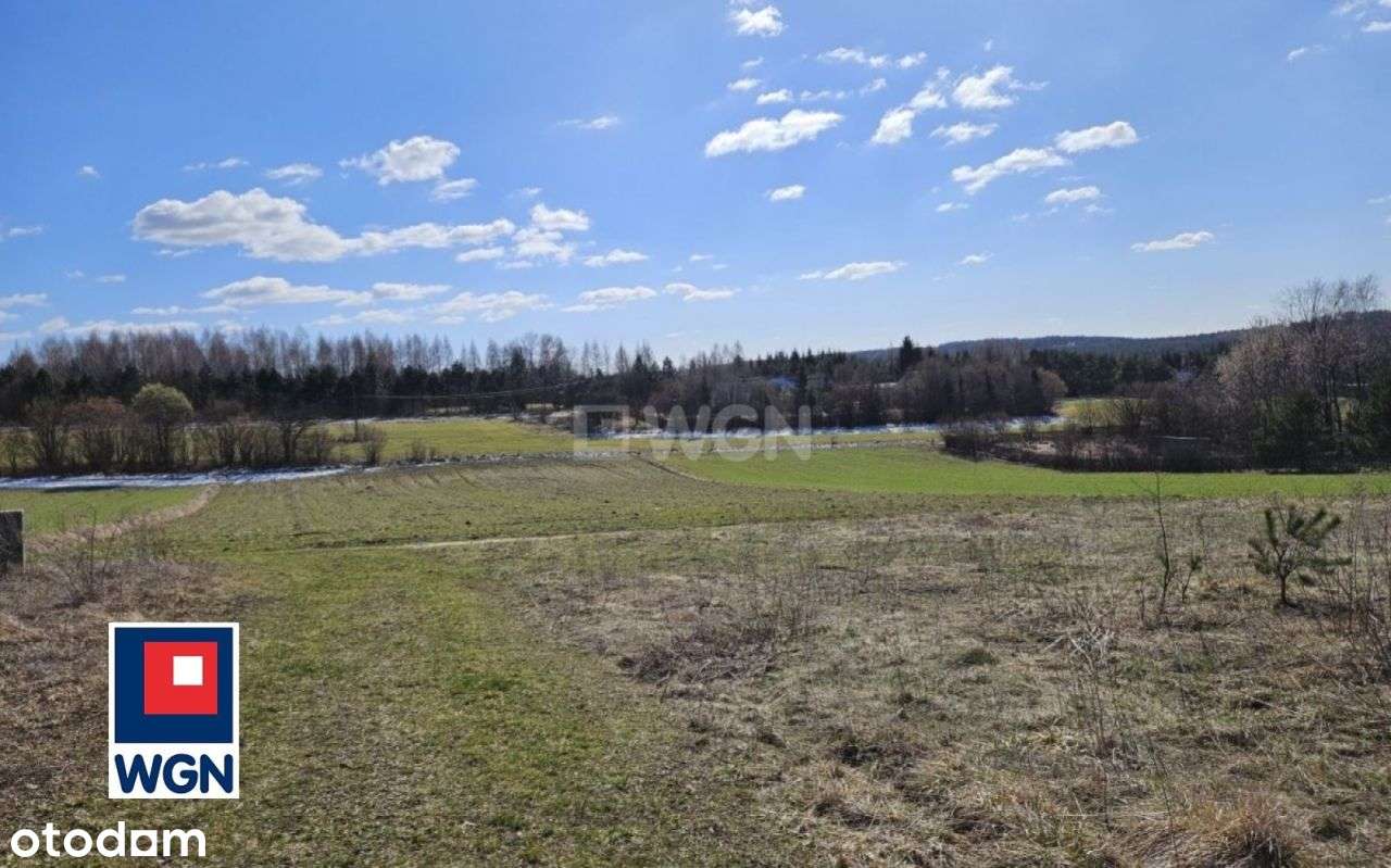 Widokowa działka siedliskowa na Jurze - Pełny obrazek: 2/13