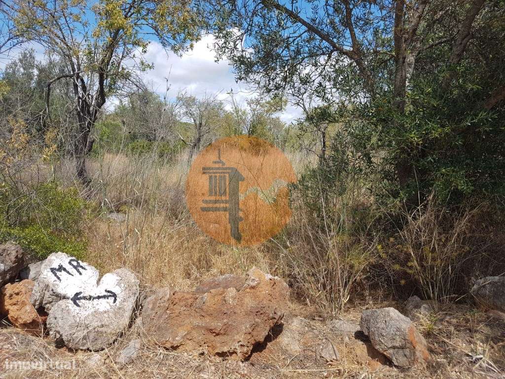 Terreno Rústico - Grande imagem: 5/7