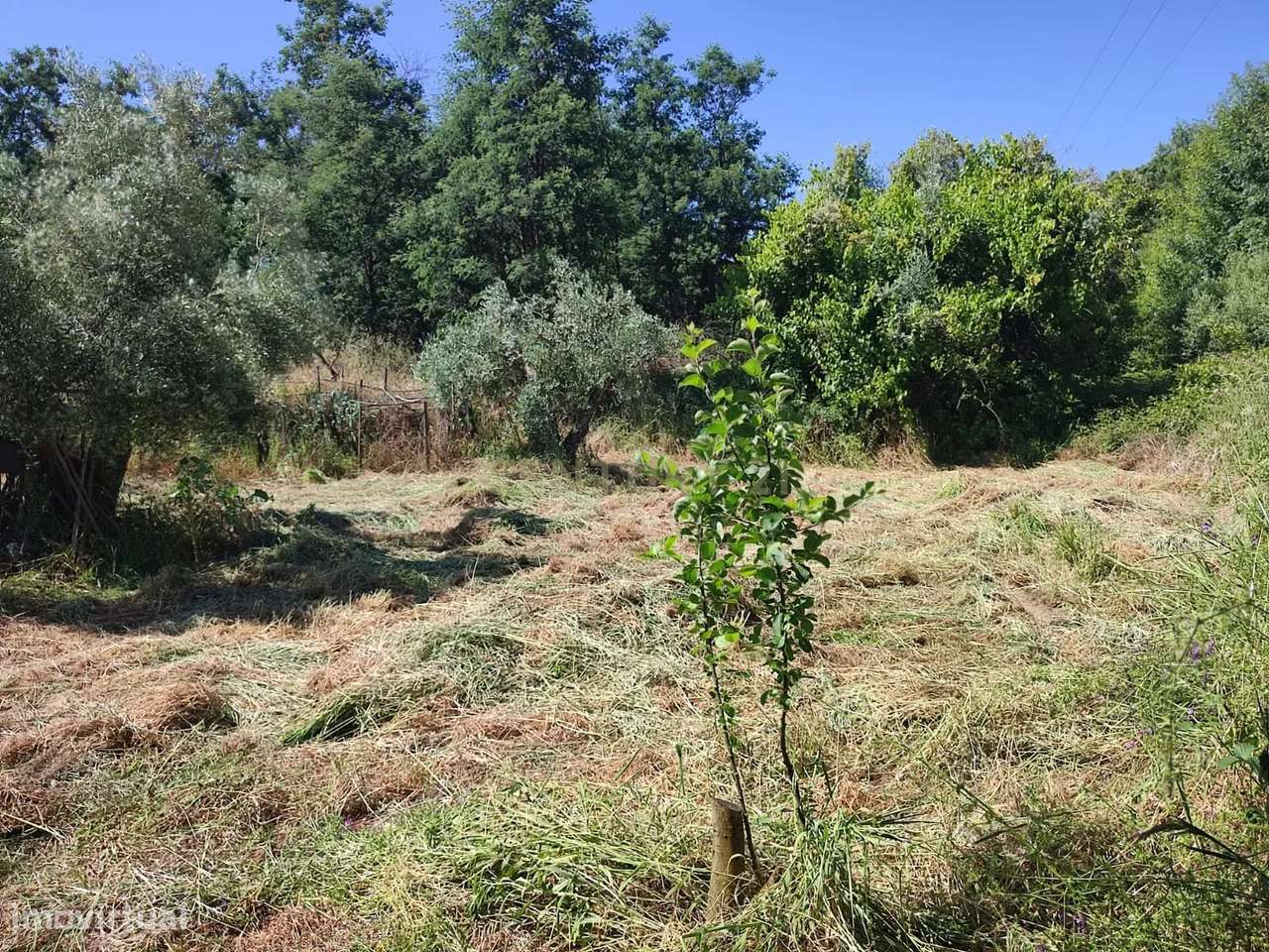Terreno com água, Aldeia de Santa Margarida - Grande imagem: 4/8