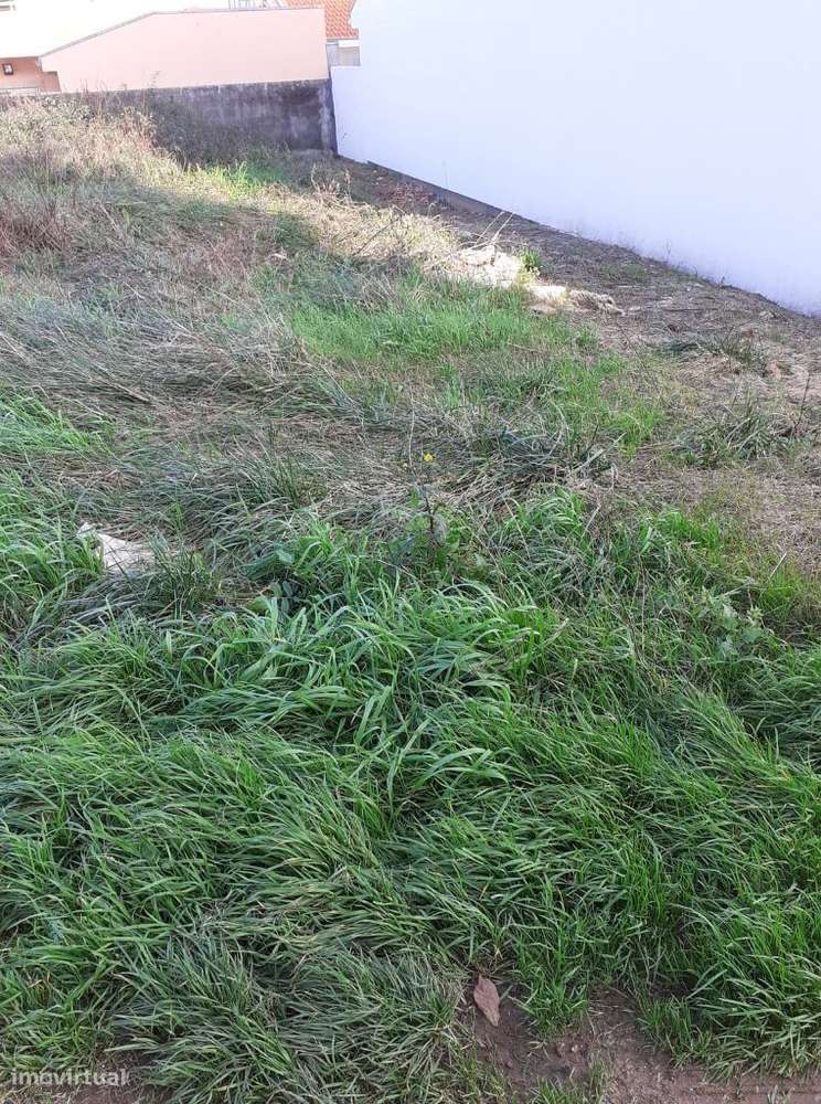 Terreno em Gião, Santa Maria Feira com 300 m2 - Grande imagem: 3/6