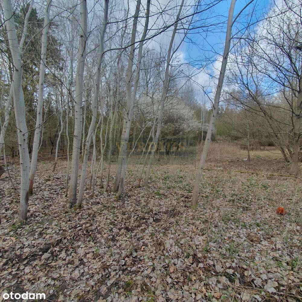 Budowlana 3364m2, 61x54m,cisza, las-2