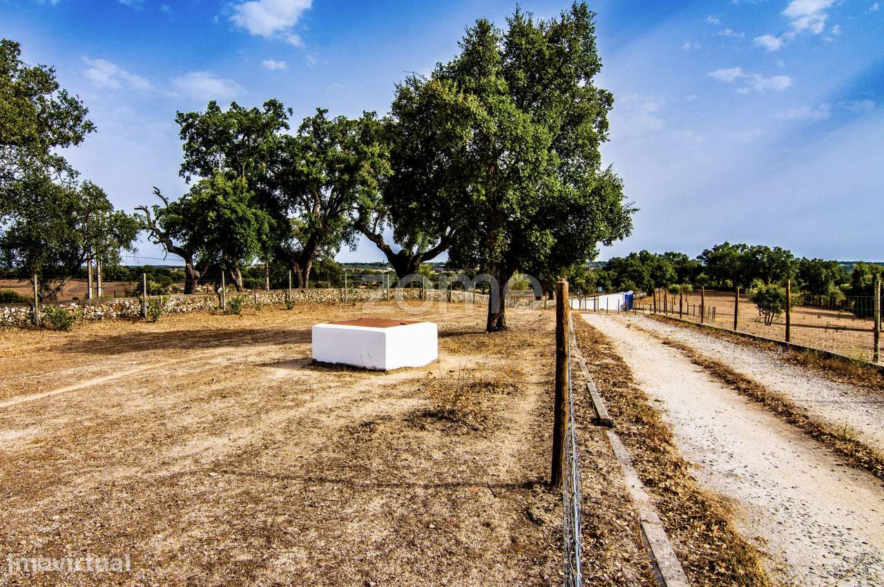 ESPETACULAR MONTE ALENTEJANO DE LUXO, T4+1, JUNTO AO CRATO-PORTALEGRE-5