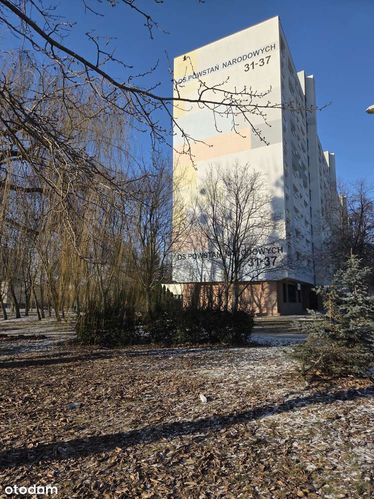 Rataje, os. Powstań Narodowych/2 pokoje/Winda/Do remontu/ Bezpośrednio