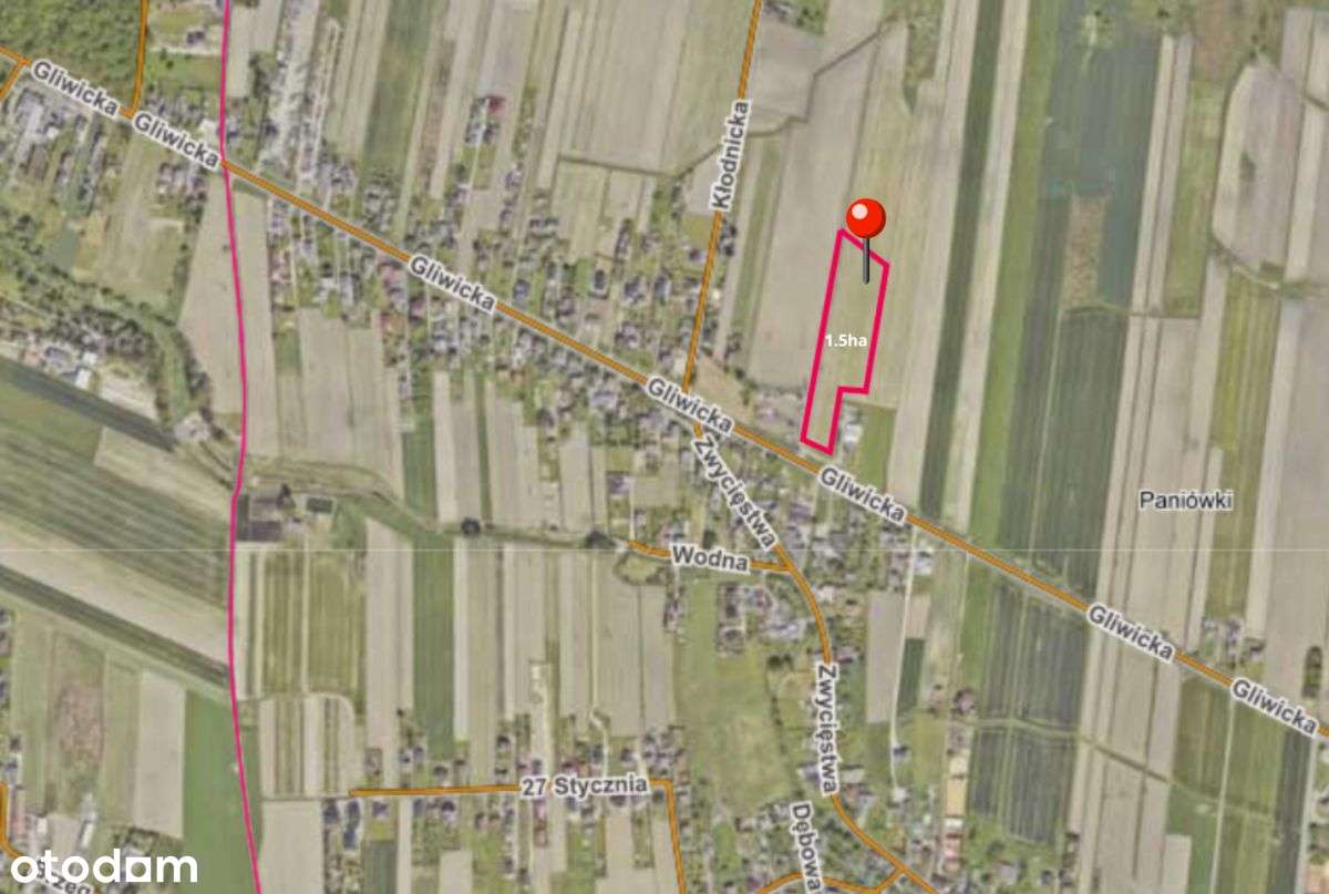 Dzierżawa - nieruchomość gruntowa Paniówki - Pełny obrazek: 5/7