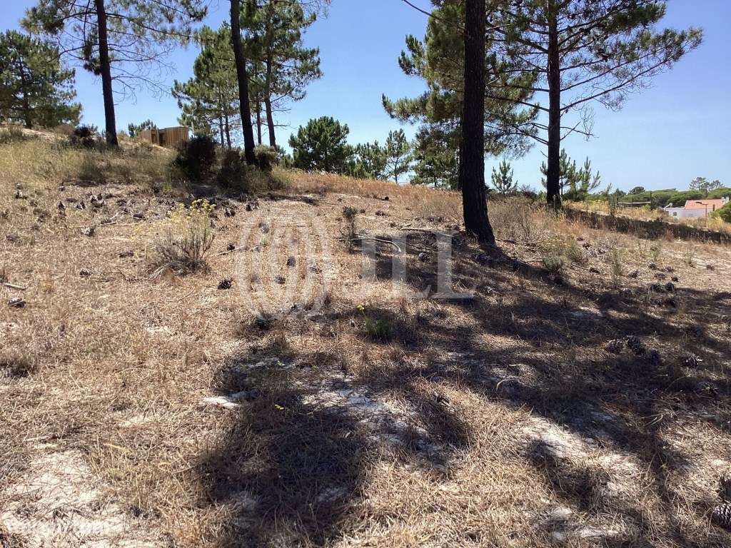 Lote de terreno urbano no Carvalhal, região da Comporta - Grande imagem: 4/11