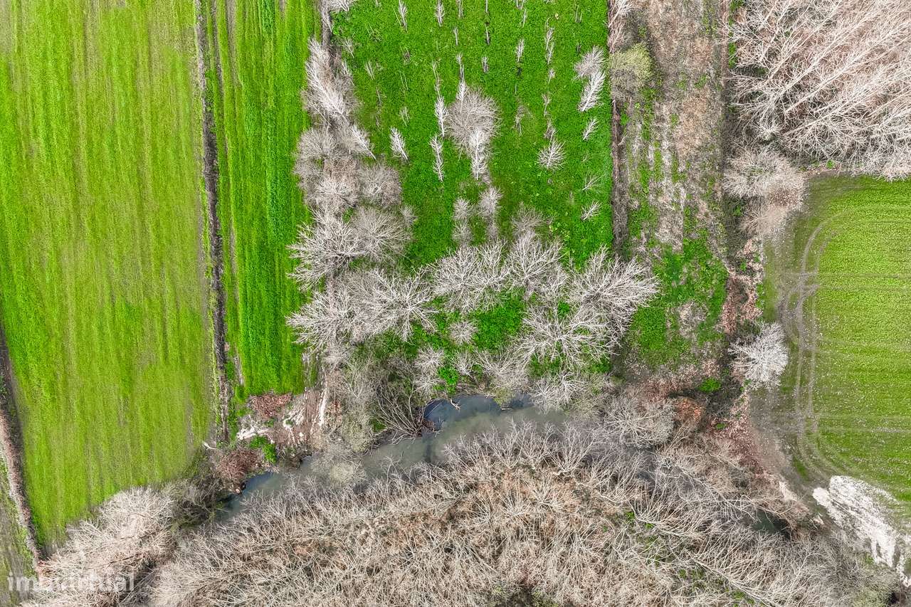 Terreno Rústico  Venda em Associação de freguesias do Vale do Neiva,Po-9