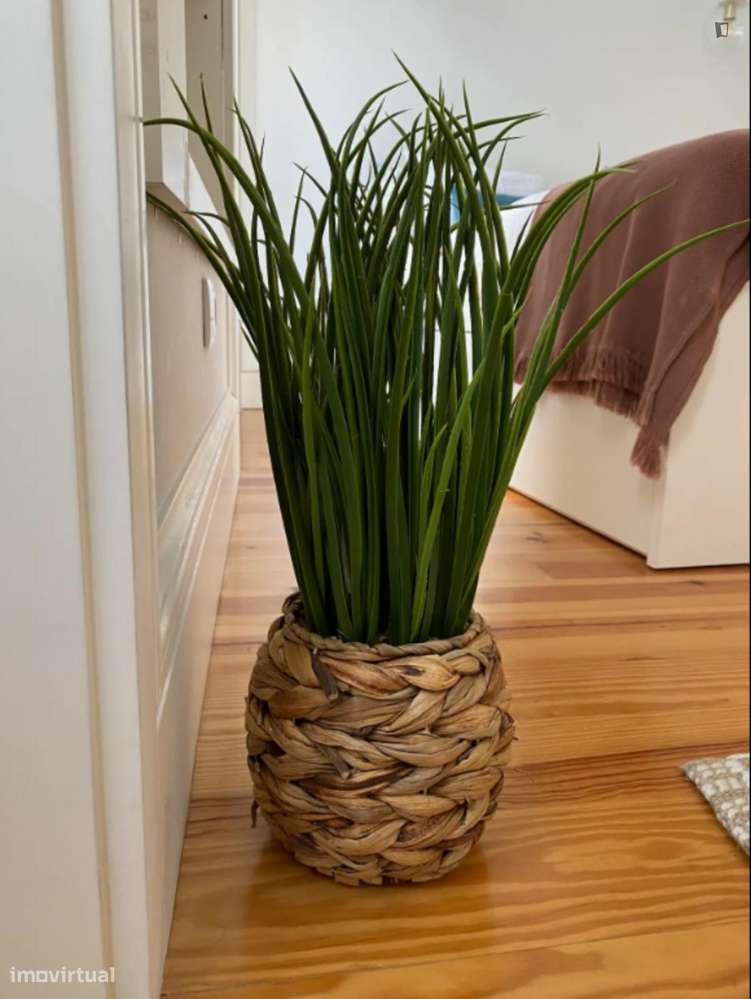 Estúdio - localizado em Sé Porto - Grande imagem: 3/6