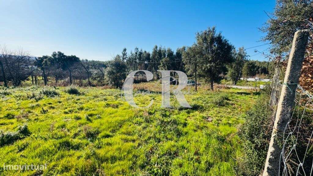 terreno com viabilidade de construção - Grande imagem: 4/5