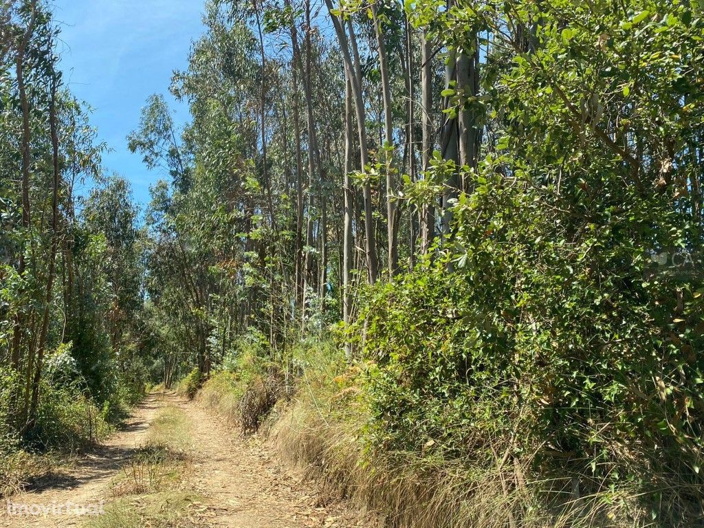 TERRENO - VILA NOVA DA BARCA