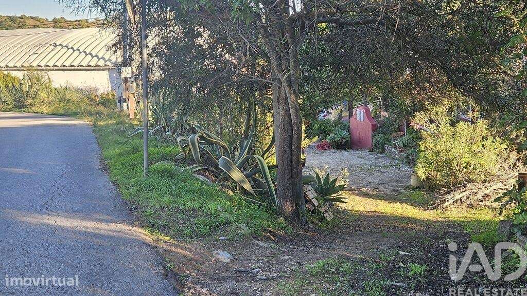 Terreno Agrícola em Santa Bárbara de Nexe - Grande imagem: 5/22