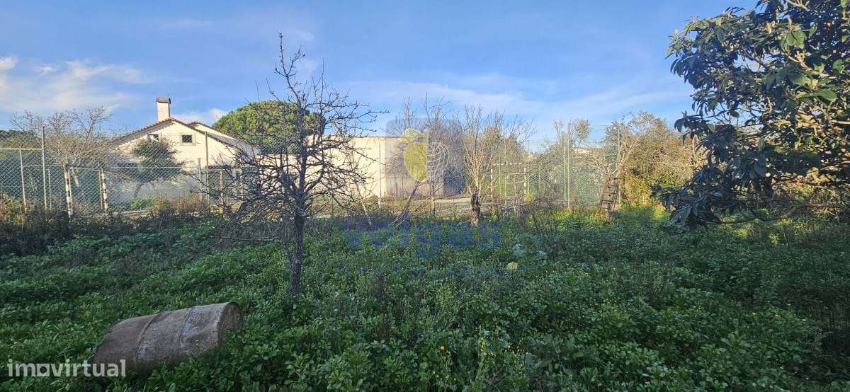 Moradia T3 Cartaxo-10