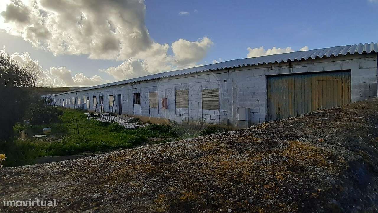 Armazém  para arrendamento - Grande imagem: 2/11