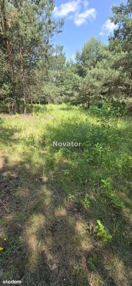 Działka w Kruszynie, Mpzp, przy lesie! - Pełny obrazek: 4/7