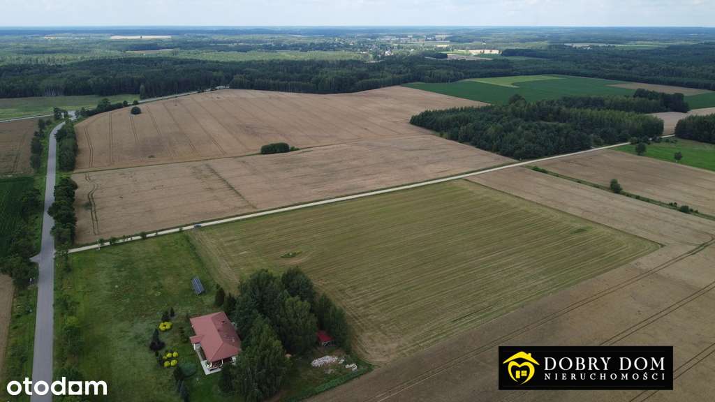 Działki budowlane w miejscowości Ancuty - Pełny obrazek: 5/5