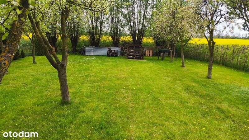 Super propozycja na nieruchomość rekreacyjną i ... - Pełny obrazek: 4/20