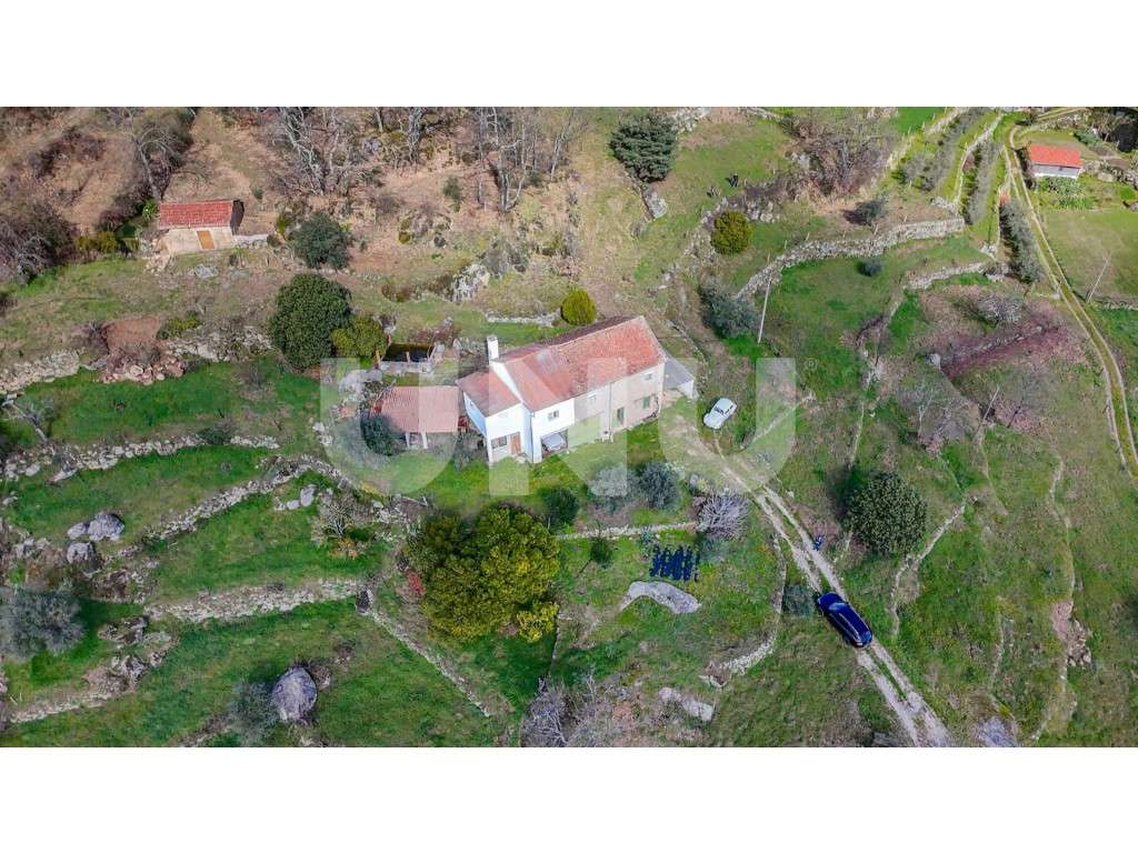 Quinta T2 com Habitação, Infraestruturas Agrícolas e Terreno com Vi... - Grande imagem: 4/49