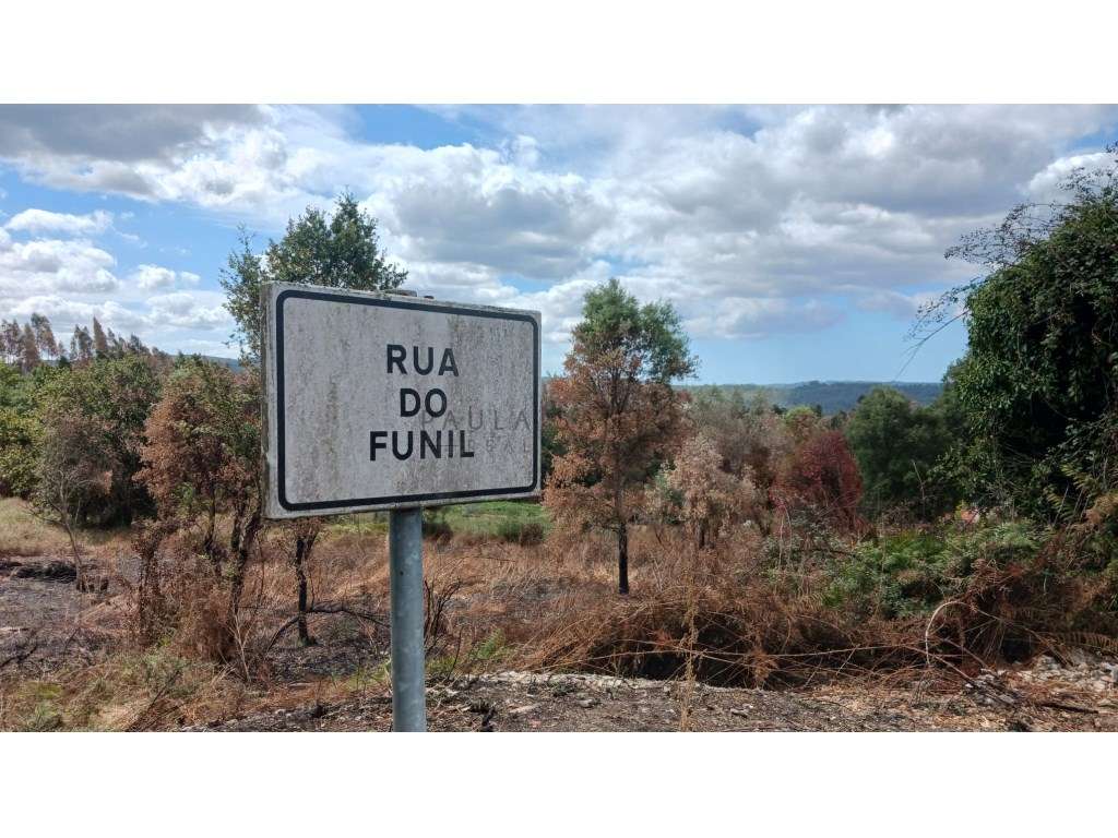 TERRENO MISTO | MELRES | GONDOMAR-10