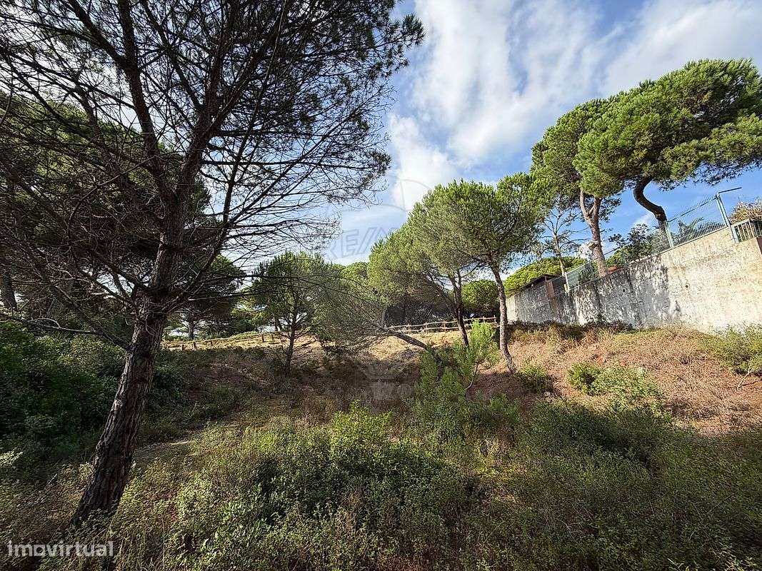 Terreno  para venda-6