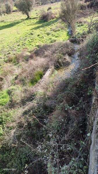 Terreno na Muxagata - Grande imagem: 5/5