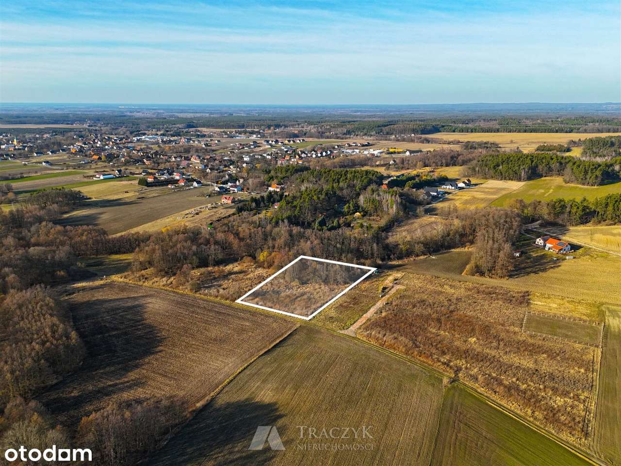 z własnym lasem,prąd,noweosiedle,Zawonia4min - Pełny obrazek: 3/13