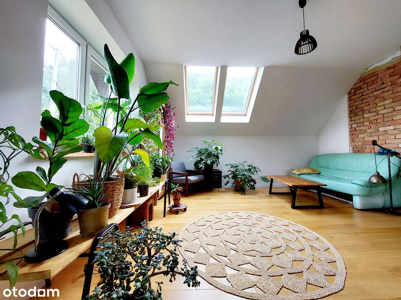 Dom jednorodzinny pod lasem-16