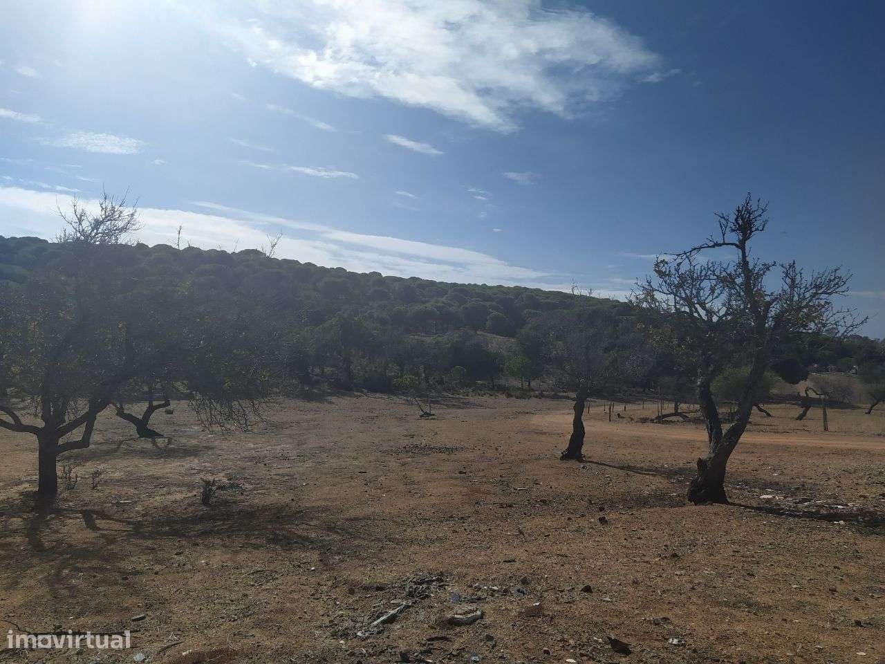 Terreno Misto C/ 18 Hect Praia Altura Algarve-8