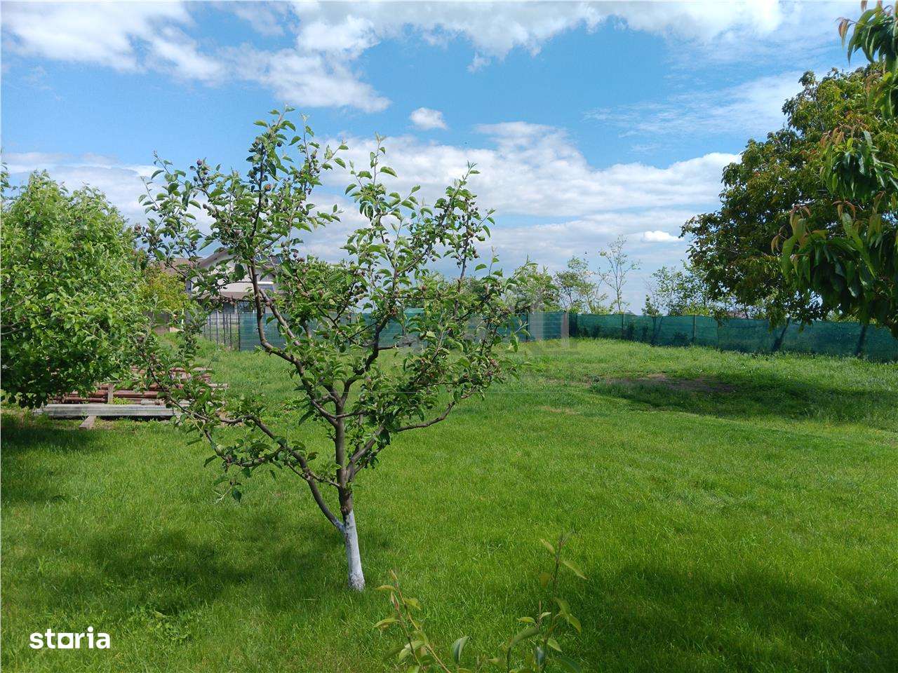 Aroneanu teren 550mp intravilan loc de casa cu toate utilitatile funct - Imagine principală: 3/4