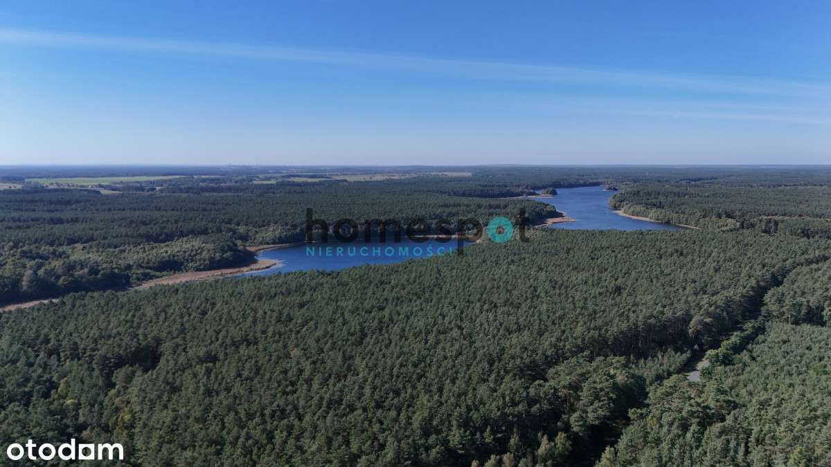 | Działka | Las | Natura | Jezioro | Stęszewko |-6