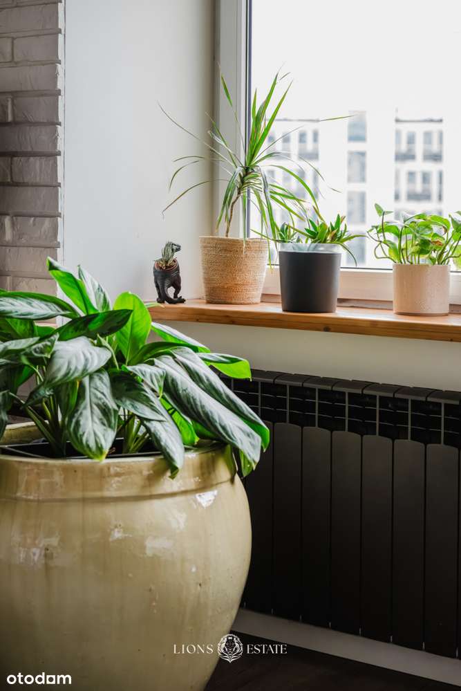 Ściana okien, zieleń i cisza|35m² na Mokotowskiej-14