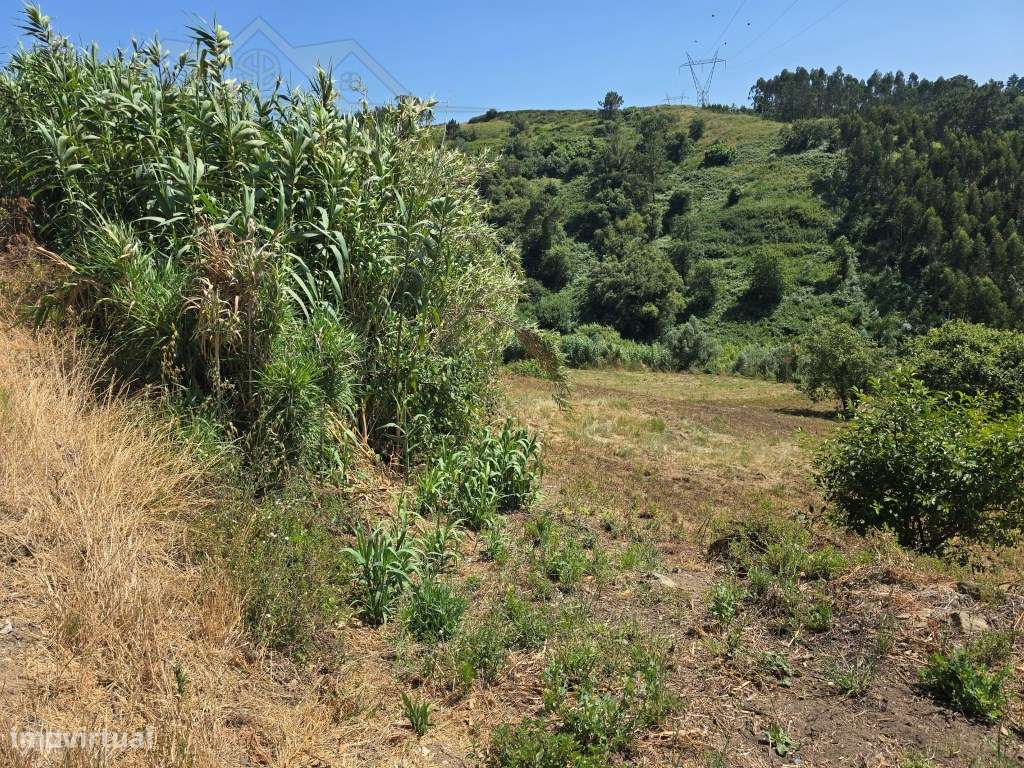 Terreno urbanizável para MORADIA - Grande imagem: 2/12