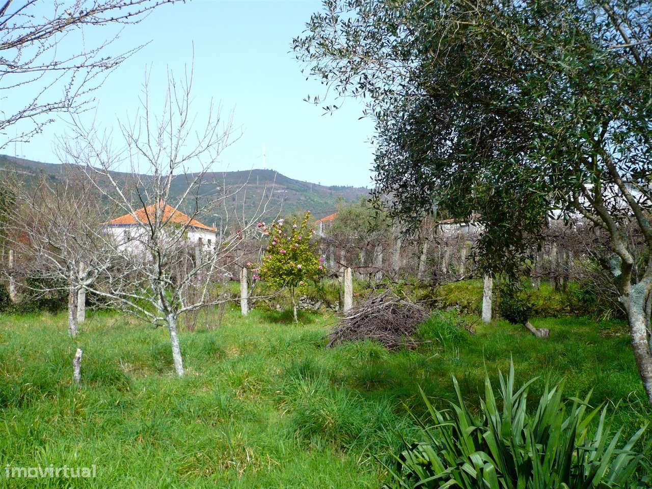 Quinta Minhota em Covas: Pedra, Água de Mina e Vistas Infinitas-27