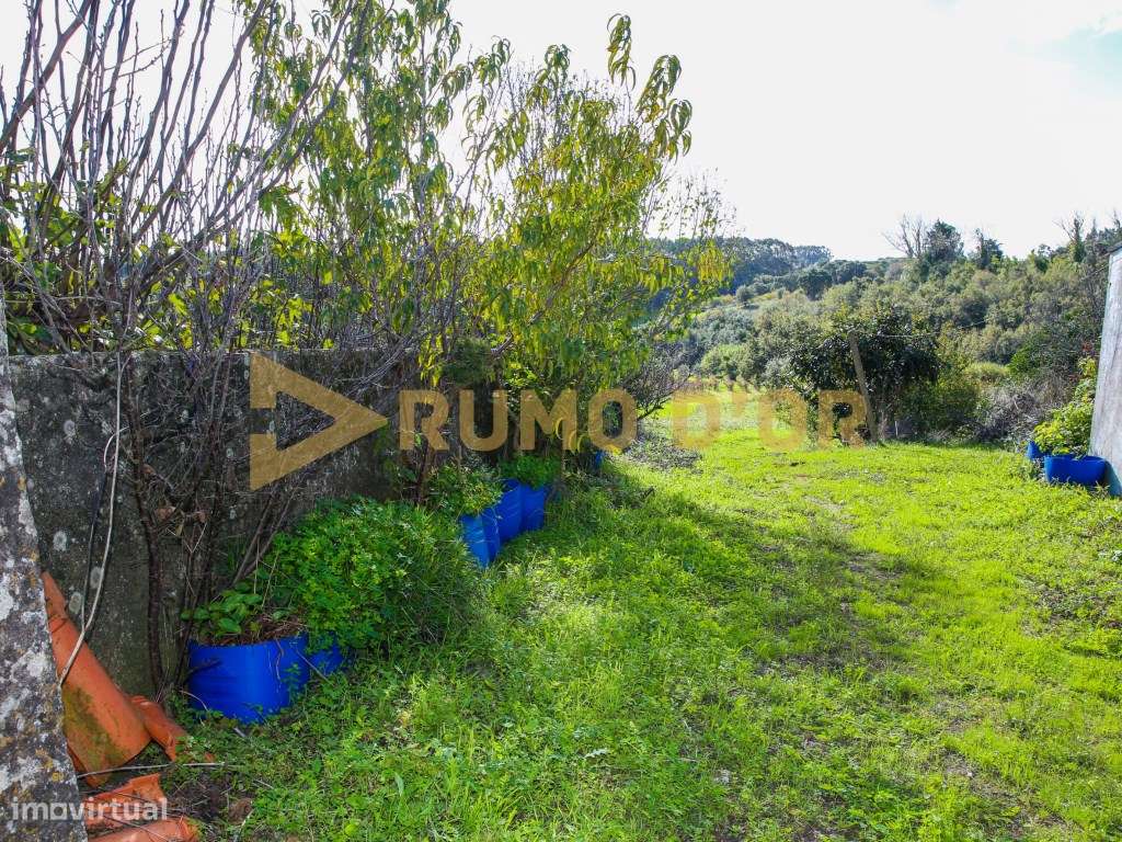 Moradia + Arrecadaçãoes e Logradouro em Vila Chã-14