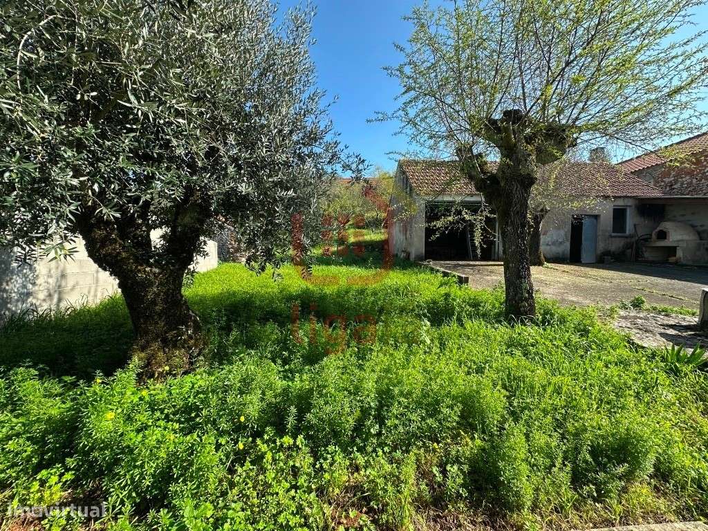 Moradia T2 com Terreno e Anexos - Ourém!-15