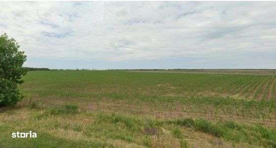 Teren extravilan Pogoanele, ID: R2586845 - Imagine principală: 1/7