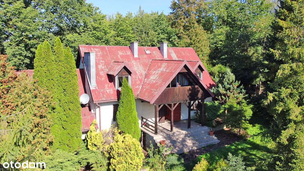 Dom 250m² z ogrodem i działką / Dobra koło Pilicy-19