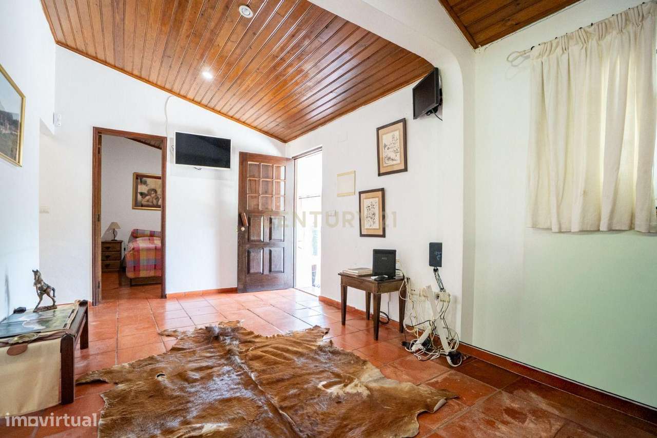 Quinta Equestre a 45 minutos de Lisboa-25