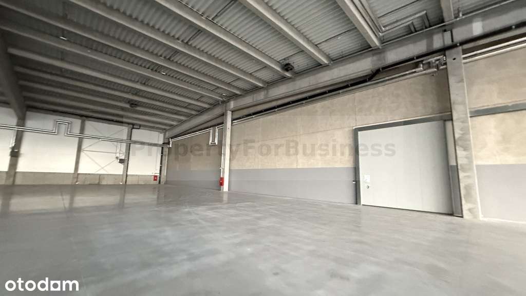 Nowoczesny magazyn klasy "A" - Pełny obrazek: 5/8