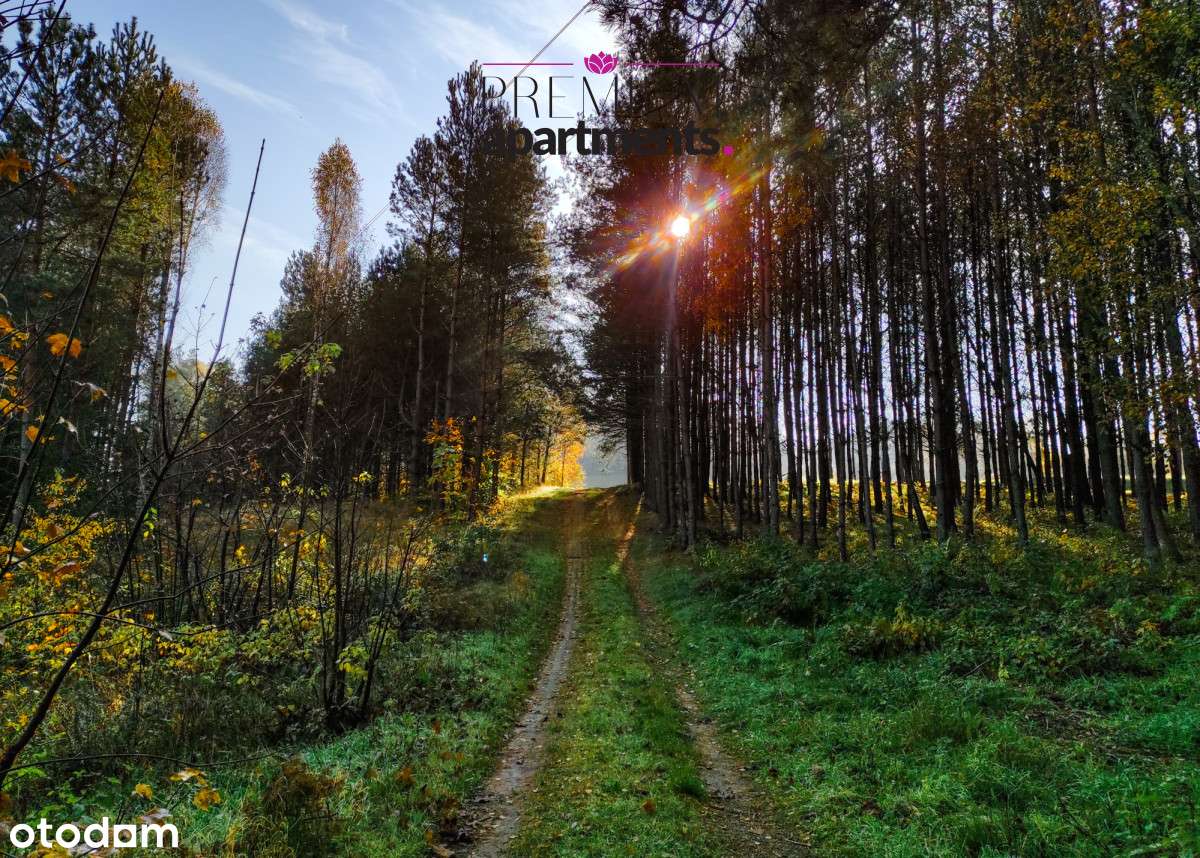 Kaszuby. Działka z linią brzegową. - Pełny obrazek: 5/20