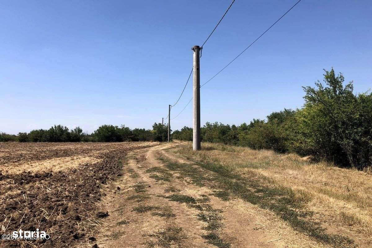 Moara Vlasiei - langa Padurea Biglaru, 11.884 mp, deschidere 40 ml - Imagine principală: 2/15