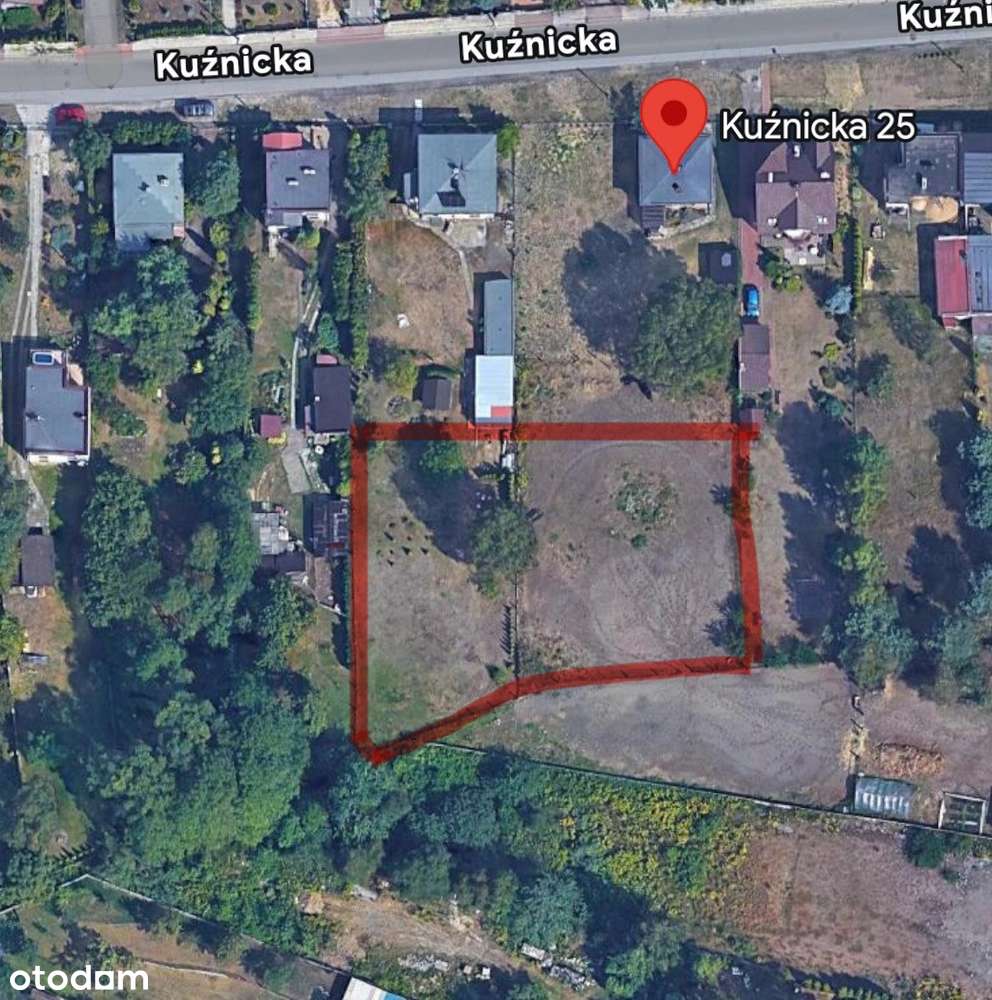 Kuznicka, 2 linia zabudowy, las!-2