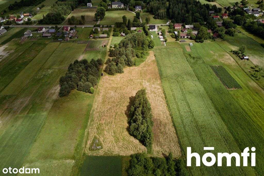 Duża działka Kosobudy Wz - Pełny obrazek: 5/16