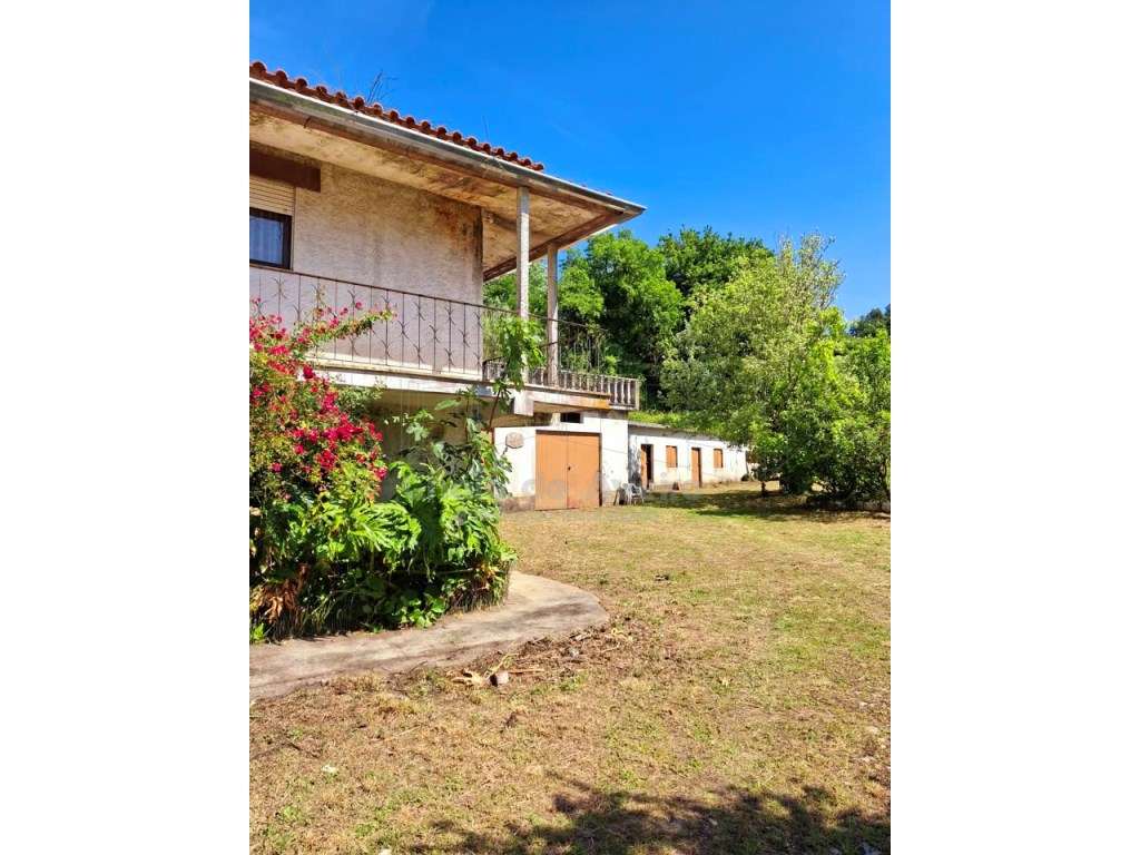 Quinta com 5.000 m2 e casa habitação T5 em Águeda-46